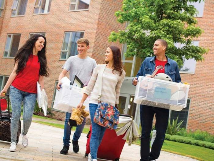 Safe Dormitories Association News